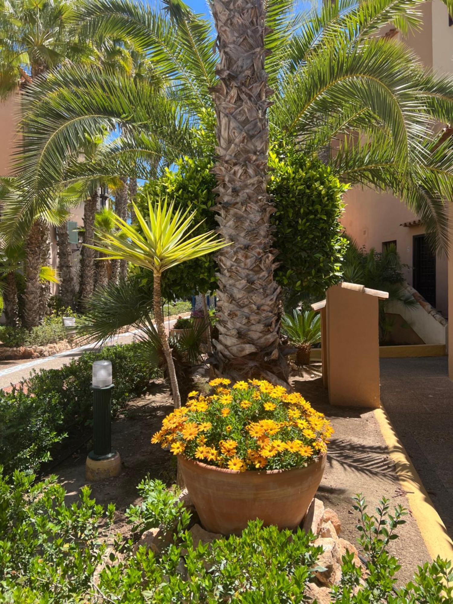 Casa Al Mare Aldea Torrevieja Exterior foto